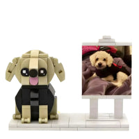 1 Pet + Photo Frame + Display box